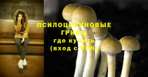 MESCALINE Аркадак