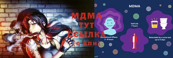 гидра Арсеньев