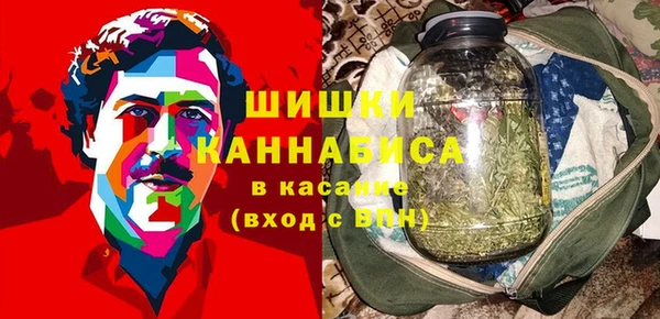 гидра Арсеньев