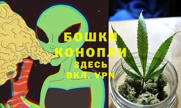 гидра Арсеньев