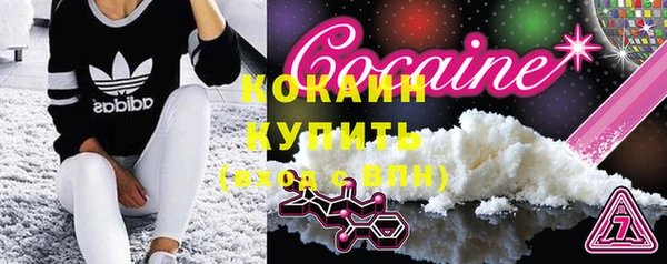 гидра Арсеньев