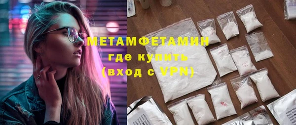 гидра Арсеньев