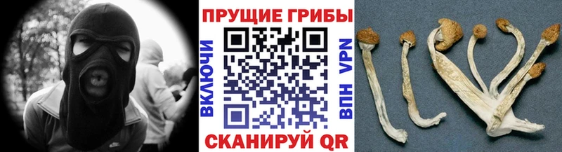 Галлюциногенные грибы прущие грибы  купить наркотик  Среднеуральск 